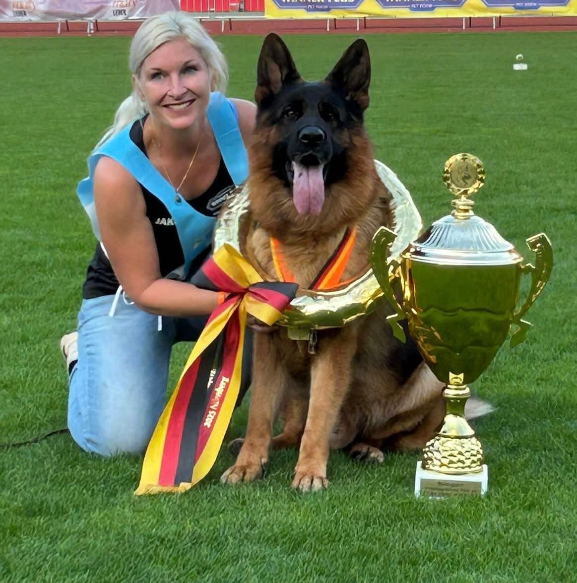 du Sol Invictus - Chiots disponibles - Berger Allemand