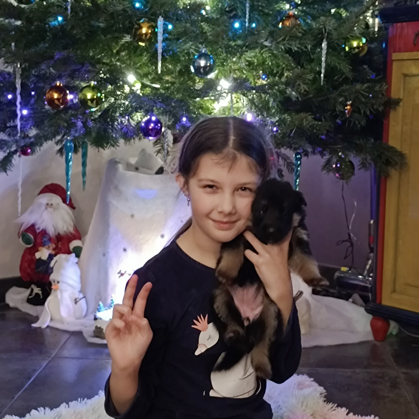 du Sol Invictus - Chiots disponibles - Berger Allemand