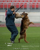 CHIOT